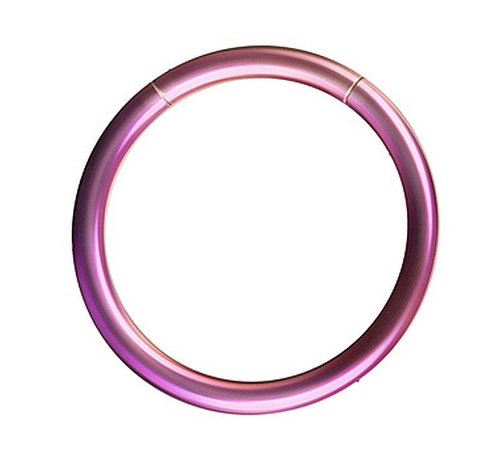 Taffstyle Nasenpiercing Segment Septum Universal Piercing Smooth Ohr Ring Lila 1,6 x 12mm (Orbital Brust Intim Piercing Ring Lippenbädchen Lippenpiercing), Nasenpiercing Nasenring Nase Ohrpiercing Cartilage Ohr Tragus Helix Taffstyle Nasenpiercing Segment Septum Universal Piercing Smooth Ohr Ring Lila 1,6 x 12mm (Orbital Brust Intim Piercing Ring Lippenbädchen Lippenpiercing), Nasenpiercing Nasenring Nase Ohrpiercing Cartilage Ohr Tragus Helix von Taffstyle