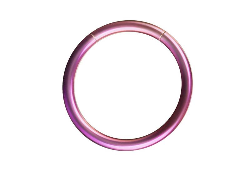 Taffstyle Nasenpiercing Segment Septum Universal Piercing Smooth Ohr Ring Lila 1,6 x 12mm (Orbital Brust Intim Piercing Ring Lippenbädchen Lippenpiercing), Nasenpiercing Nasenring Nase Ohrpiercing Cartilage Ohr Tragus Helix von Taffstyle