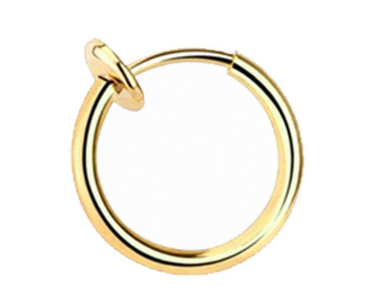 Taffstyle Nasenpiercing Piercing Septum Nase Lippe Ohr Helix Tragus, Universal Fake Nase Lippe Ohr Helix Tragus Brust Nippel Hoop Ring Taffstyle Nasenpiercing Piercing Septum Nase Lippe Ohr Helix Tragus, Universal Fake Nase Lippe Ohr Helix Tragus Brust Nippel Hoop Ring von Taffstyle