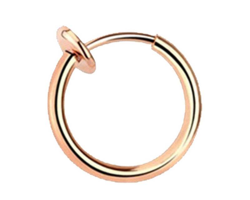 Taffstyle Nasenpiercing Piercing Septum Nase Lippe Ohr Helix Tragus, Universal Fake Nase Lippe Ohr Helix Tragus Brust Nippel Hoop Ring von Taffstyle