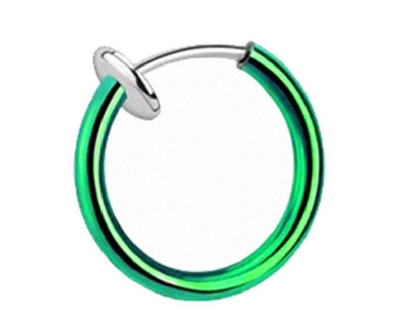 Taffstyle Nasenpiercing Piercing Septum Nase Lippe Ohr Helix Tragus, Universal Fake Nase Lippe Ohr Helix Tragus Brust Nippel Hoop Ring von Taffstyle