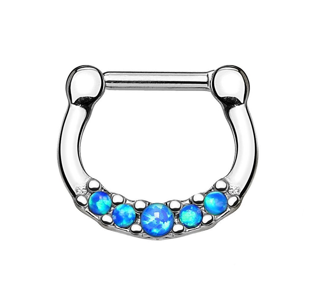 Taffstyle Nasenpiercing Piercing Septum Nase Lippe Ohr Helix Tragus, Universal Septum Nase Schild Clicker Ring Chirurgenstahl Schild Opale Taffstyle Nasenpiercing Piercing Septum Nase Lippe Ohr Helix Tragus, Universal Septum Nase Schild Clicker Ring Chirurgenstahl Schild Opale von Taffstyle