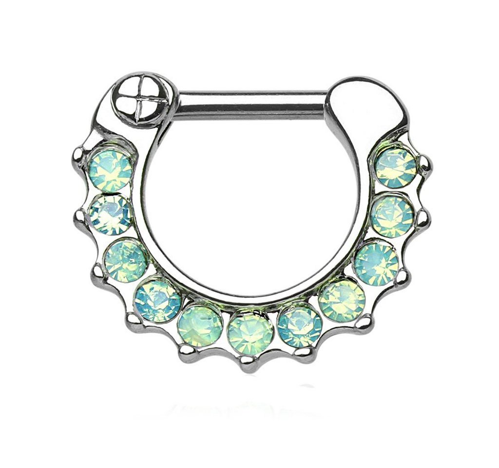 Taffstyle Nasenpiercing Piercing Septum Schild Clicker Ring Opal Steine, Universal Tragus Helix Ohr Nase Lippe Brust Schild Clicker Ring Opal von Taffstyle