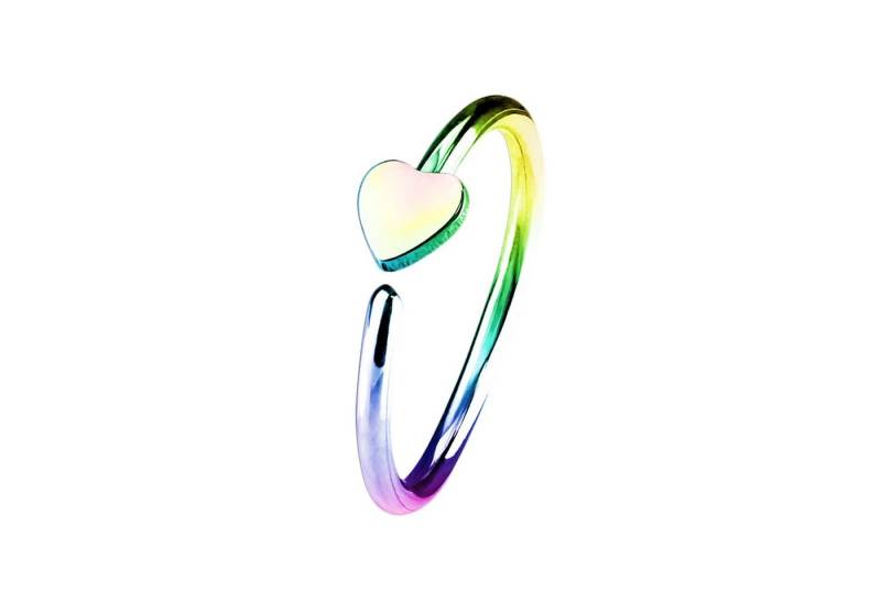 Taffstyle Nasenpiercing Piercing Septum Tragus Helix Hufeisen Horseshoe, Universal Ring Hoop Clip On mit Motiv Für Ohr Nase Lippe Brust Intim von Taffstyle