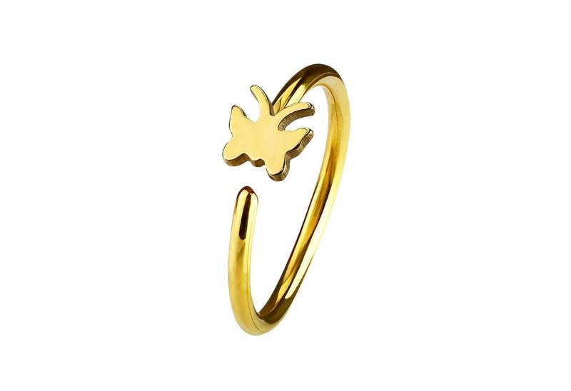 Taffstyle Nasenpiercing Piercing Septum Tragus Helix Hufeisen Horseshoe, Universal Ring Hoop Clip On mit Motiv Für Ohr Nase Lippe Brust Intim von Taffstyle