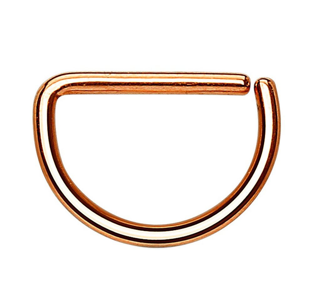 Taffstyle Nasenpiercing Piercing Septum Tragus Helix Ohr Nase, Universal Ring Piercing Lippe Brust Intim Nasenpiercing Lippenpiercing Taffstyle Nasenpiercing Piercing Septum Tragus Helix Ohr Nase, Universal Ring Piercing Lippe Brust Intim Nasenpiercing Lippenpiercing von Taffstyle