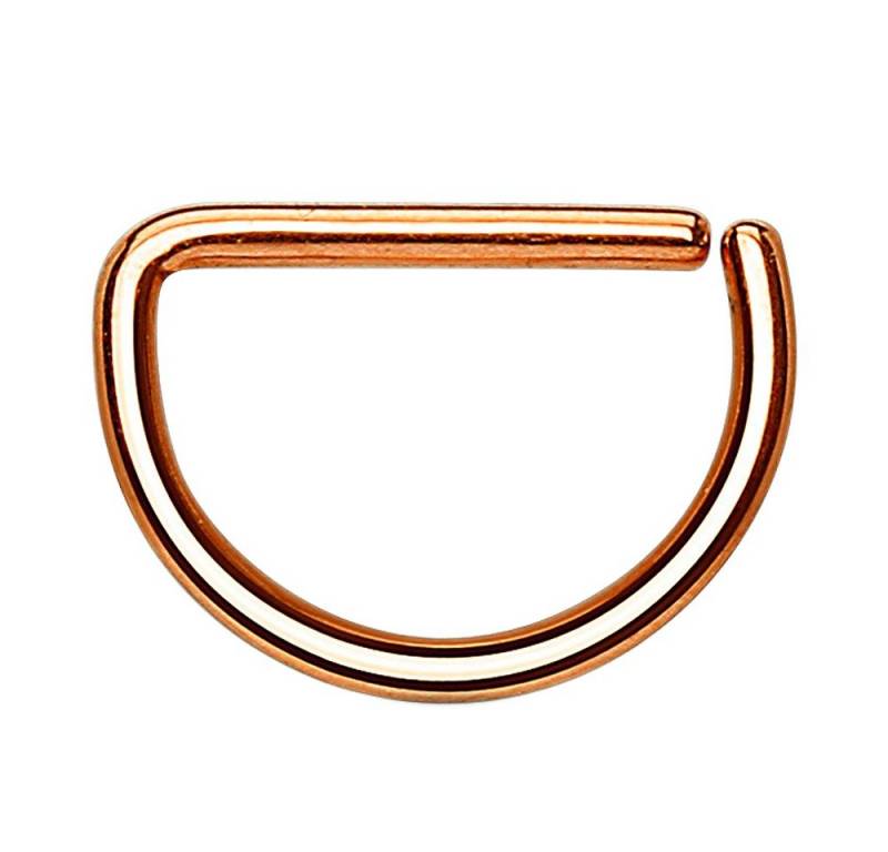 Taffstyle Nasenpiercing Piercing Septum Tragus Helix Ohr Nase, Universal Ring Piercing Lippe Brust Intim Nasenpiercing Lippenpiercing von Taffstyle