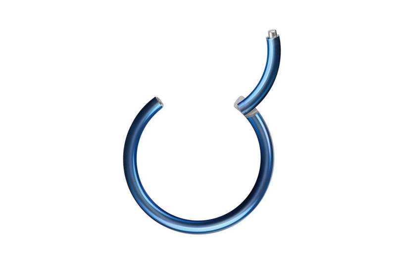 Taffstyle Nasenpiercing Segmentring Piercing Titan G23 oder Chirurgenstahl, Scharnier Klicker Septum Ohr Nase Lippe Brust Augenbrauen Segment Ring Taffstyle Nasenpiercing Segmentring Piercing Titan G23 oder Chirurgenstahl, Scharnier Klicker Septum Ohr Nase Lippe Brust Augenbrauen Segment Ring von Taffstyle