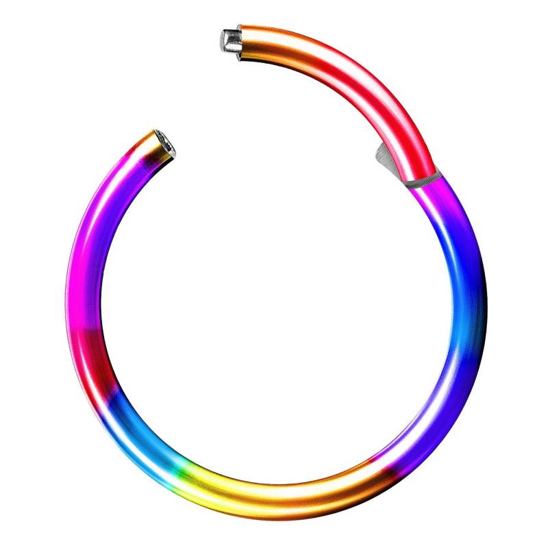 Taffstyle Nasenpiercing Segmentring Piercing Titan G23 oder Chirurgenstahl, Scharnier Klicker Septum Ohr Nase Lippe Brust Augenbrauen Segment Ring von Taffstyle