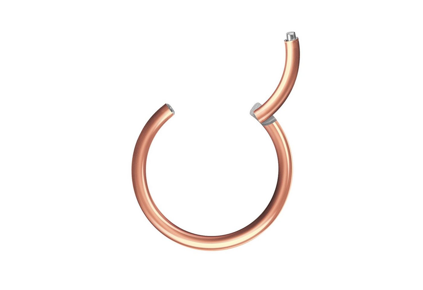 Taffstyle Nasenpiercing Segmentring Piercing Titan G23 oder Chirurgenstahl, Scharnier Klicker Septum Ohr Nase Lippe Brust Augenbrauen Segment Ring von Taffstyle