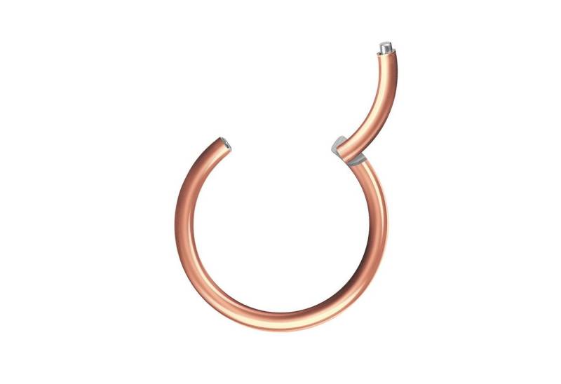 Taffstyle Nasenpiercing Segmentring Piercing Titan G23 oder Chirurgenstahl, Scharnier Klicker Septum Ohr Nase Lippe Brust Augenbrauen Segment Ring von Taffstyle
