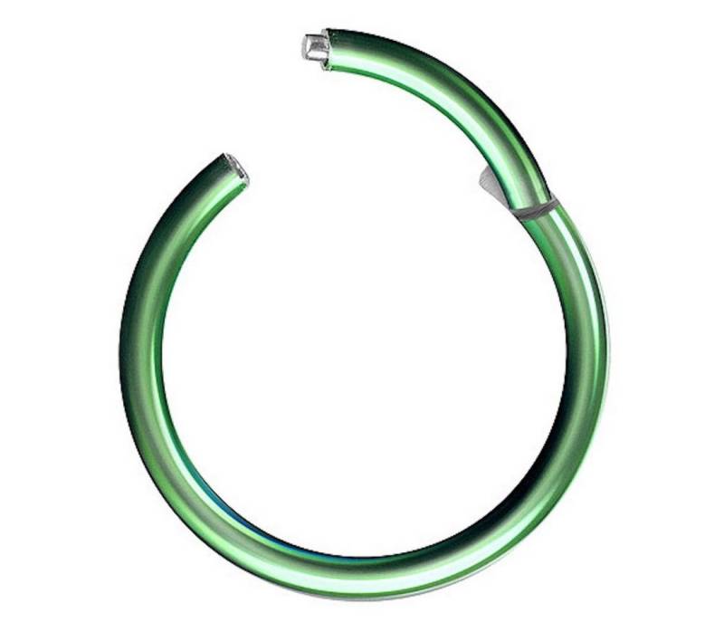Taffstyle Nasenpiercing Segmentring Piercing Titan G23 oder Chirurgenstahl, Scharnier Klicker Septum Ohr Nase Lippe Brust Augenbrauen Segment Ring von Taffstyle
