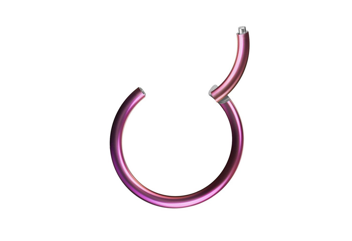 Taffstyle Nasenpiercing Segmentring Piercing Titan G23 oder Chirurgenstahl, Scharnier Klicker Septum Ohr Nase Lippe Brust Augenbrauen Segment Ring von Taffstyle