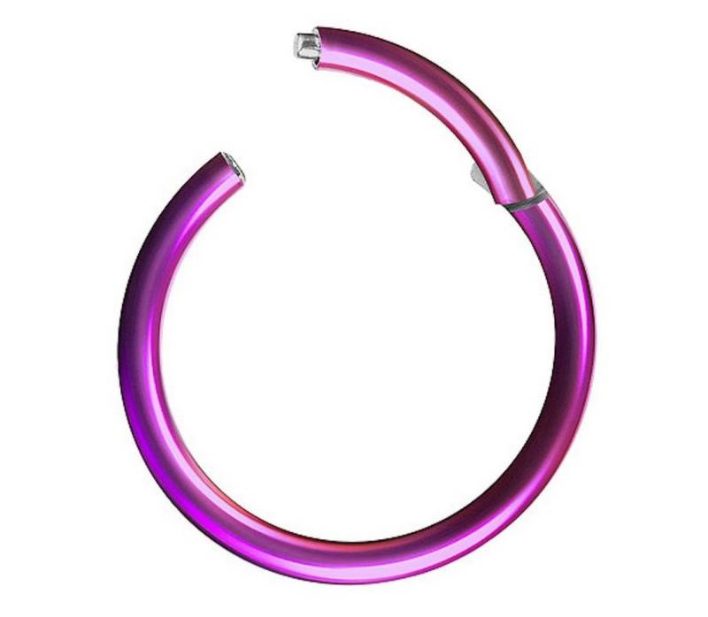 Taffstyle Nasenpiercing Clicker Ohr Universal Piercing Titan G23 oder Chirurgenstahl (Vielseitiger Segmentring aus Titan oder Chirurgenstahl in vielen Farben und Größen), Scharnier Klicker für Septum Ohr Nase Lippe von Taffstyle