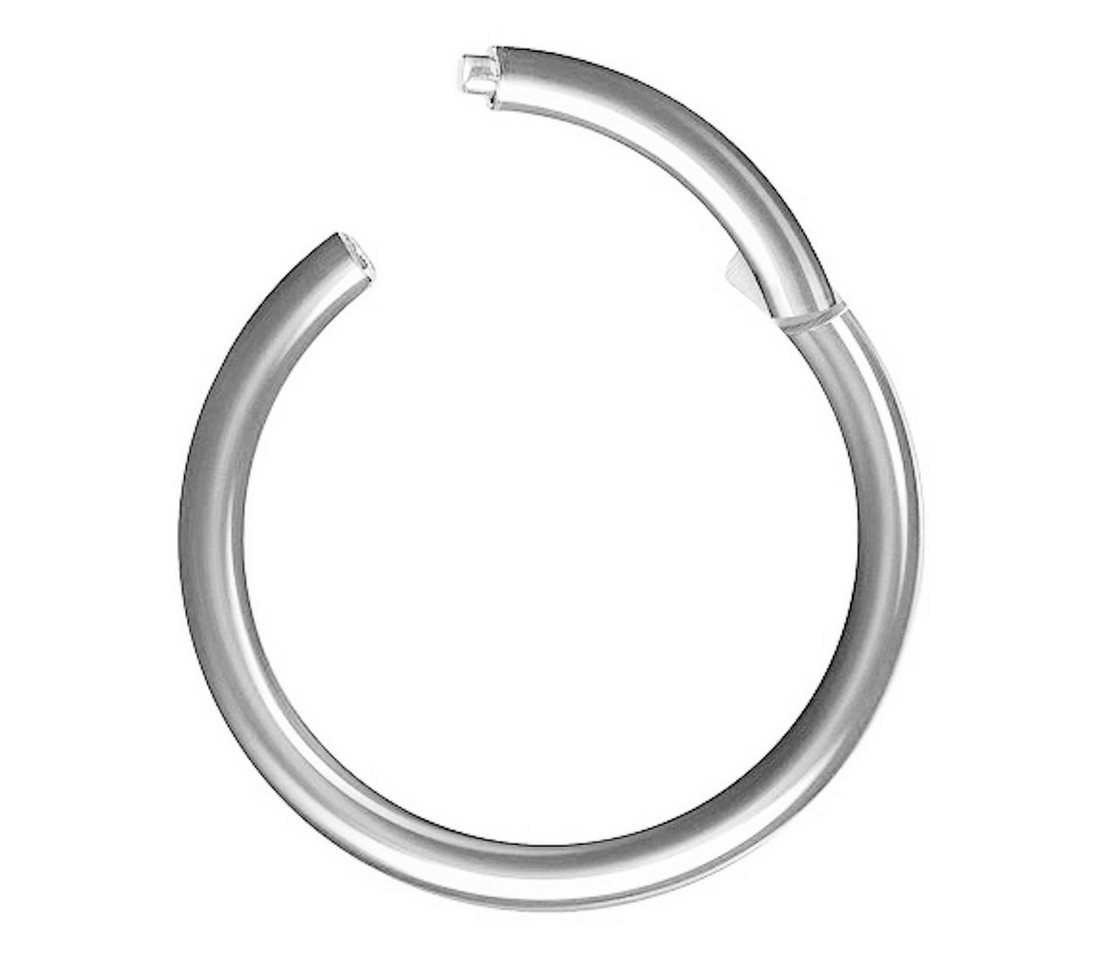 Taffstyle Nasenpiercing Segmentring Piercing Titan G23 oder Chirurgenstahl, Scharnier Klicker Septum Ohr Nase Lippe Brust Augenbrauen Segment Ring von Taffstyle