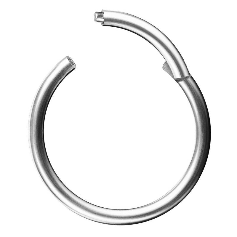 Taffstyle Nasenpiercing Segmentring Piercing Titan G23 oder Chirurgenstahl, Scharnier Klicker Septum Ohr Nase Lippe Brust Augenbrauen Segment Ring von Taffstyle