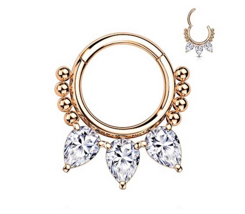 Taffstyle Nasenpiercing Septum Piercing Ring Segmentring Clicker Scharnier 3 Kristall Tropfen, Nasenpiercing Nasenring Ohrpiercing Ohr Nase Tragus Helix Brust Intim von Taffstyle