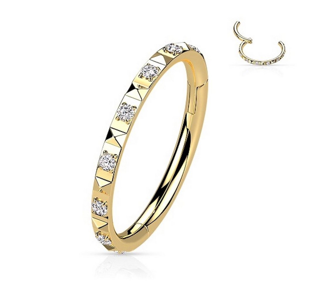 Taffstyle Nasenpiercing Septum Piercing Ring Segmentring Clicker Scharnier Kristalle Pave, Nasenpiercing Nasenring Ohrpiercing Ohr Nase Tragus Helix Brust Intim von Taffstyle