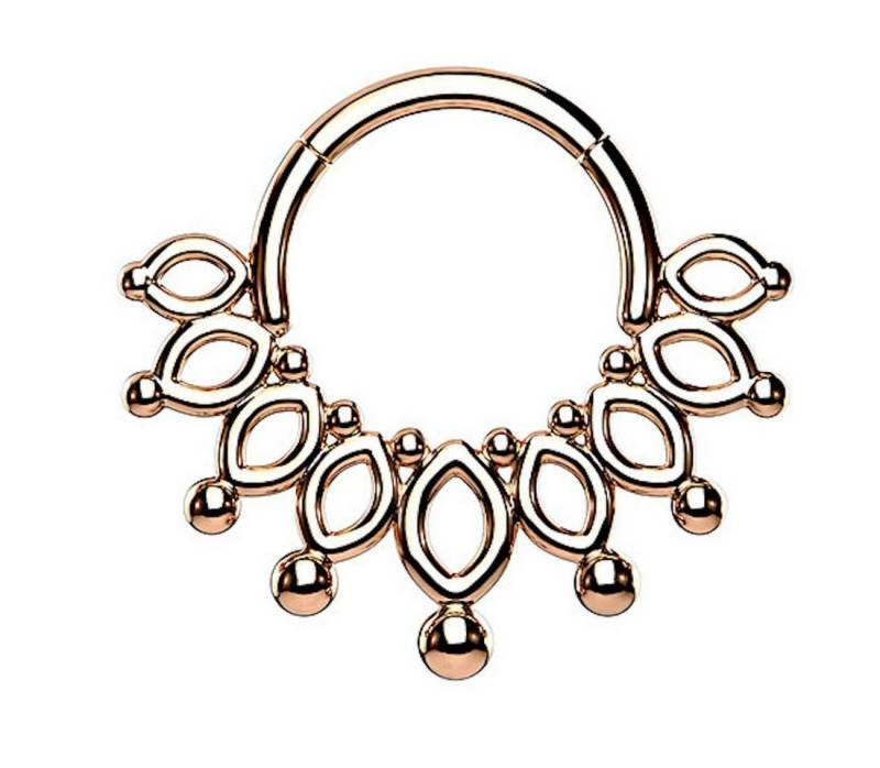 Taffstyle Nasenpiercing Septum Piercing Ring Segmentring Clicker Scharnier Krone Knorpel, Nasenpiercing Nasenring Ohrpiercing Ohr Nase Tragus Helix Brust Intim von Taffstyle
