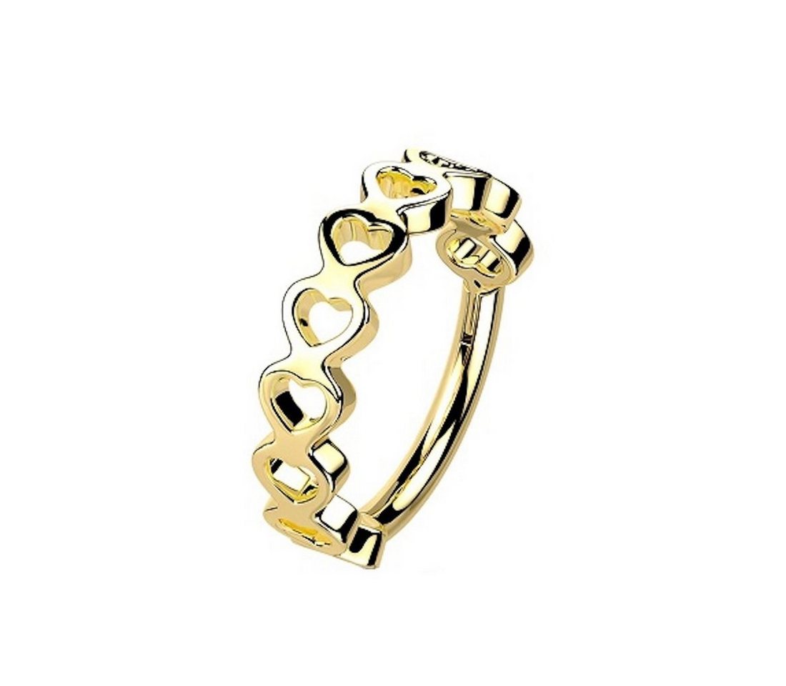 Taffstyle Nasenpiercing Septum Piercing Ring Segmentring Clicker Scharnier seitliche Herzen, Nasenpiercing Nasenring Ohrpiercing Ohr Nase Tragus Helix Brust Intim von Taffstyle