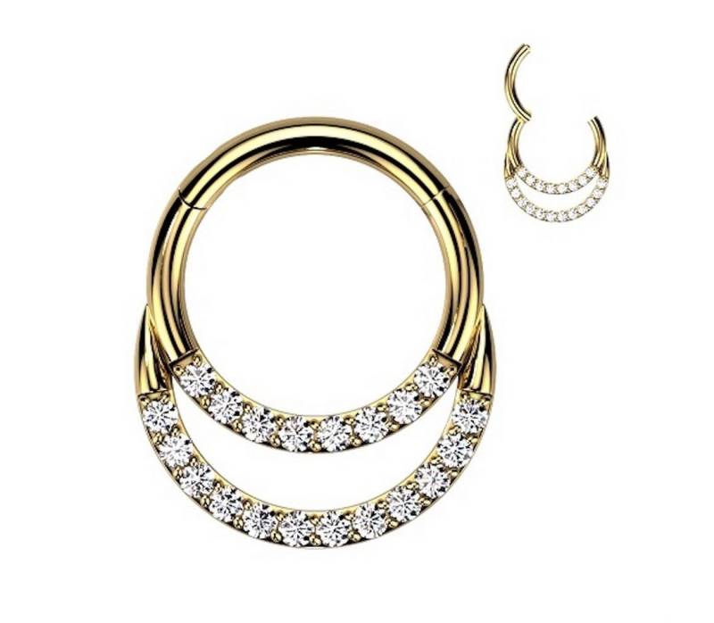 Taffstyle Nasenpiercing Septum Piercing Ring Segmentring Clicker Titan Doppel Kristall, Nasenpiercing Nasenring Ohrpiercing Ohr Nase Tragus Helix Brust Intim von Taffstyle