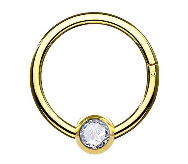 Taffstyle Nasenpiercing Septum Segment Ring Piercing Clicker Scharnier Kristall Kugel Perle, Nasenpiercing Nasenring Ohrpiercing Ohr Nase Tragus Helix Brust Intim von Taffstyle