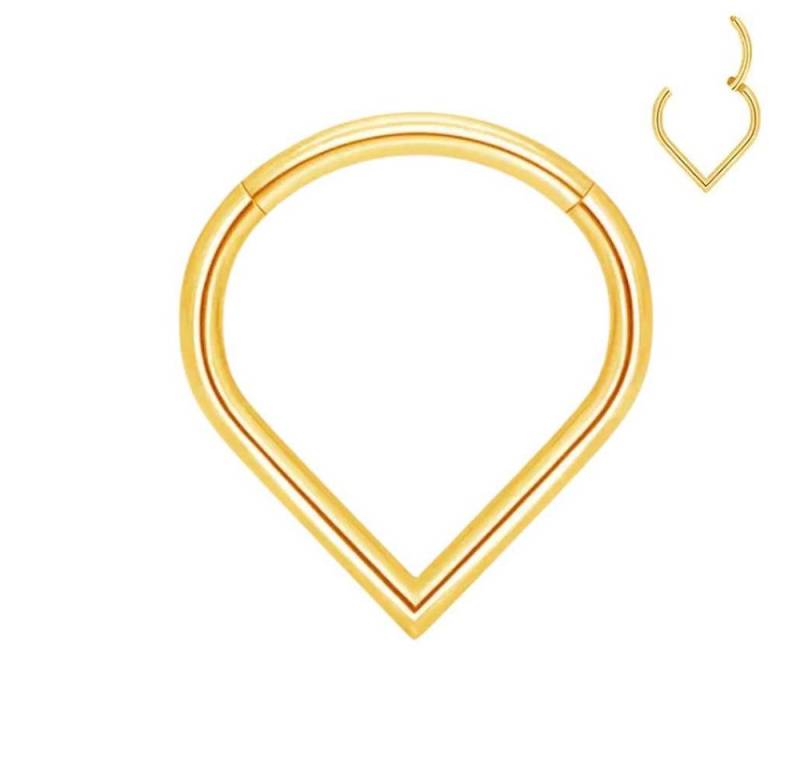 Taffstyle Nasenpiercing Titan Septum Piercing Ring Clicker Tragus Helix Daith Tropfen Träne (Universal Piercing aus Titan G23 in Tropfenform für Tragus Daith Lippe und Septum) von Taffstyle