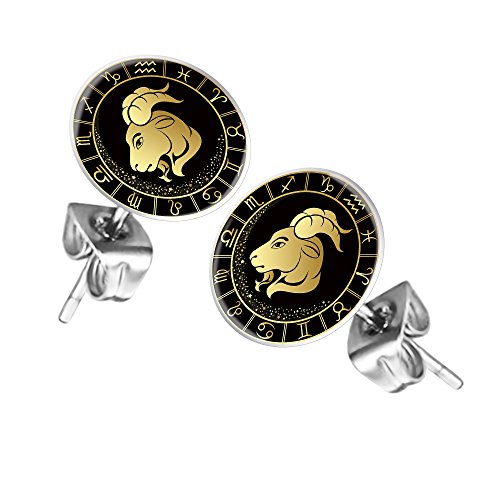 Taffstyle Ohrstecker Ohrringe Schmuck Stecker Platte mit Sternzeichen Motiv Tierkreiszeichen Silber für Damen Herren Steinbock von Taffstyle