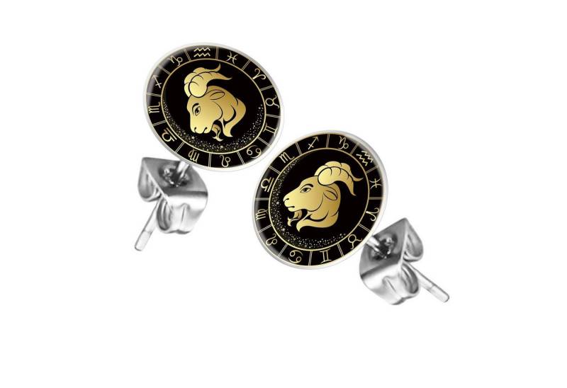 Taffstyle Ohrstecker-Set Ohrringe Sternzeichen Tierkreiszeichen Ohrstecker Motiv Chirurgenstahl (Runde Sternzeichen Ohrstecker für Damen und Herren in 12 Motiven), Runde Platte Lustig Steinbock Motiv Damen Herren Klein Rund von Taffstyle