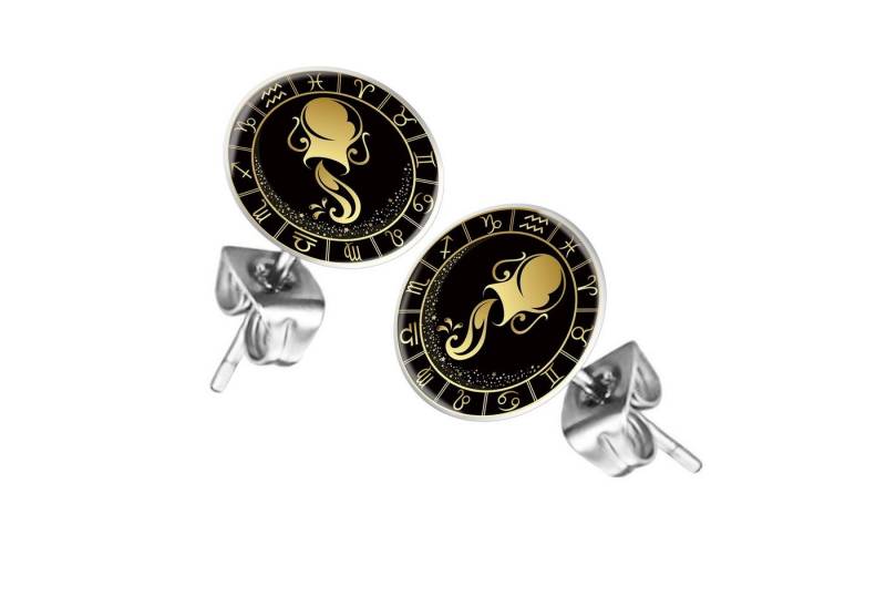 Taffstyle Ohrstecker-Set Ohrringe Sternzeichen Tierkreiszeichen Ohrstecker Motiv Chirurgenstahl (Runde Sternzeichen Ohrstecker für Damen und Herren in 12 Motiven), Runde Platte Lustig Wassermann Motiv Damen Herren Klein Rund von Taffstyle