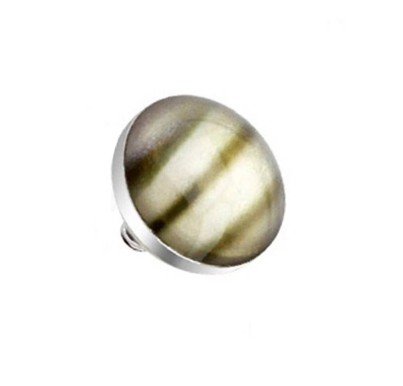 Taffstyle Piercing-Implantat Dermal Piercing Diver Anker Kugel Muschel Optik, Anchor Skin Aufsatz Aufsatzkugel Ball Flach Stecker mit Muschel Optik von Taffstyle