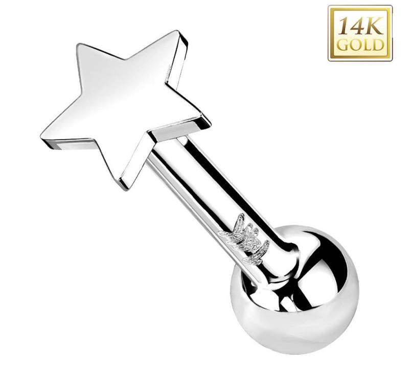 Taffstyle Piercing-Set 14K Gold Tragus Stern Aufsatz ohne Gewinde Weißgold 1,2mm x 6mm x 4mm (Ohr Tragus Helix Lobe Daith Conch Orbital Snug Ohrring Piercing), Helix Ohr Piercing Stecker flacher Ohrpiercing Cartilage Knorpel Rook von Taffstyle