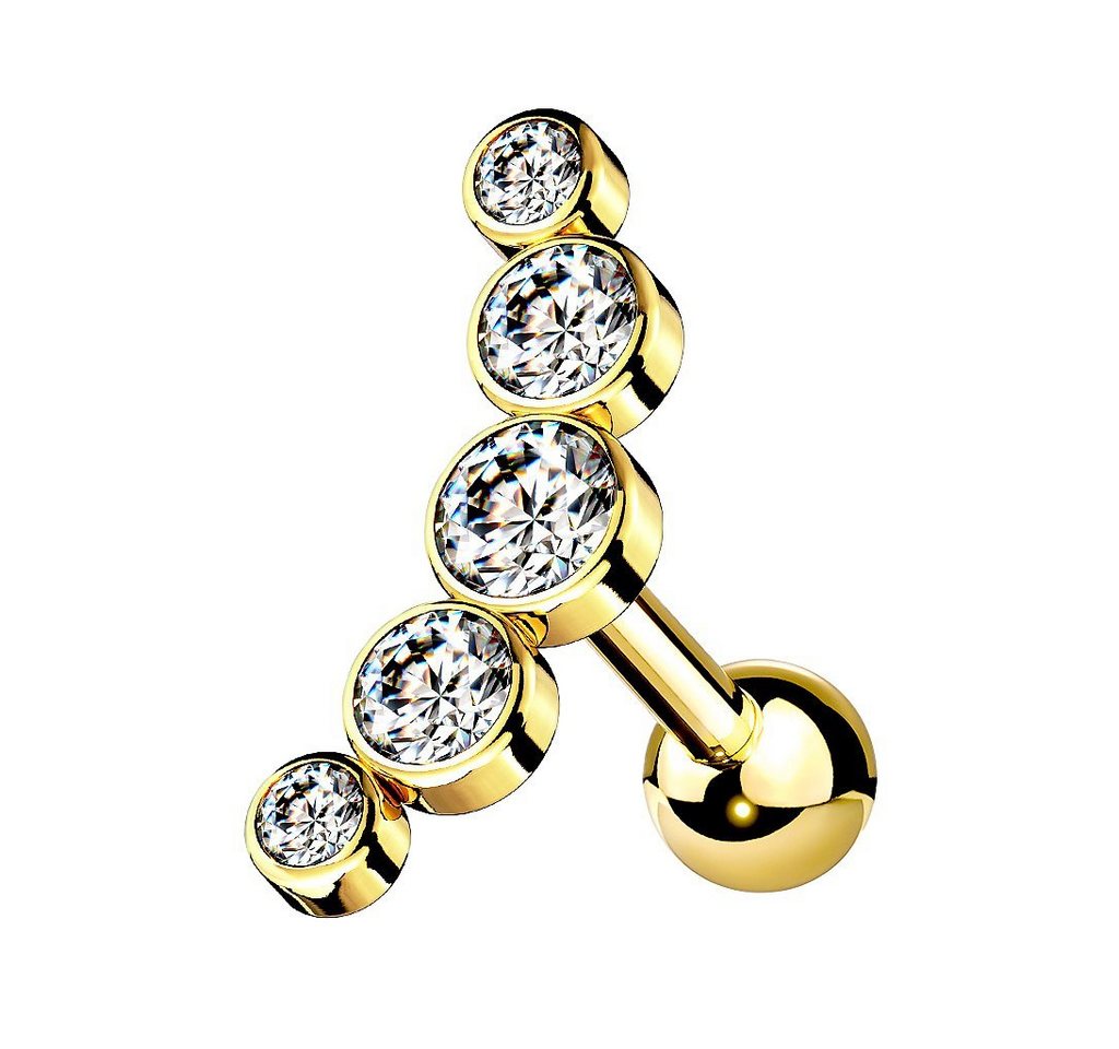 Taffstyle Piercing-Set Helix Ohr Knorpel Piercing Multi Kristall Bogen, Stecker Glitzer Steinen Ohr Cartilage Tragus Ohrpiercing Barbell Kugel Taffstyle Piercing-Set Helix Ohr Knorpel Piercing Multi Kristall Bogen, Stecker Glitzer Steinen Ohr Cartilage Tragus Ohrpiercing Barbell Kugel von Taffstyle