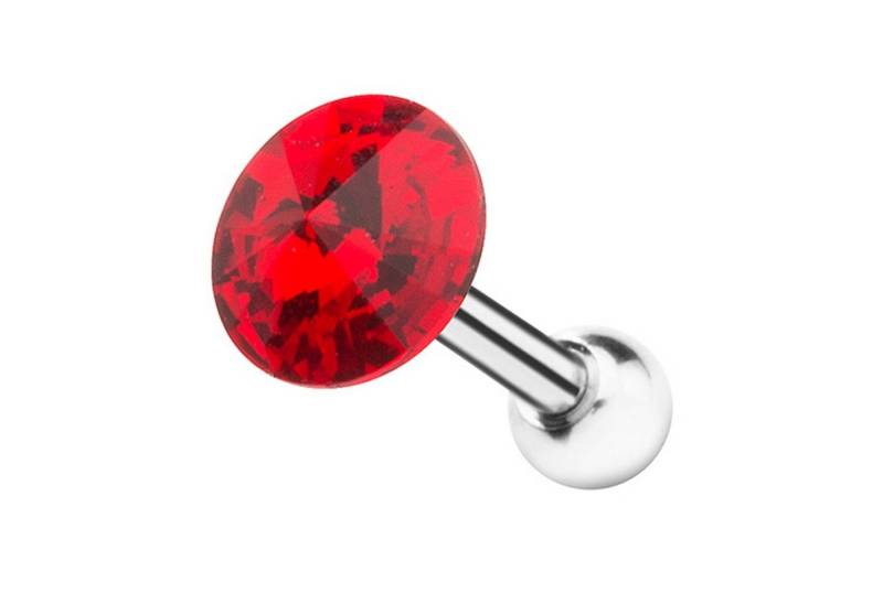 Taffstyle Piercing-Set Piercing Ohr Helix Tragus Kristall Kugel, Ohr Chirurgenstahl Ohrpiercing Cartilage Stab Barbell Knorpel Stecker Taffstyle Piercing-Set Piercing Ohr Helix Tragus Kristall Kugel, Ohr Chirurgenstahl Ohrpiercing Cartilage Stab Barbell Knorpel Stecker von Taffstyle