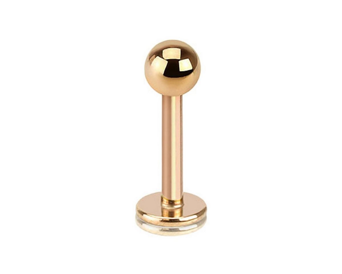 Taffstyle Piercing-Set Piercing Stab für Lippe Labret Ohr Helix Kugel, Stecker Lippenpiercing Monroe Labret Lippen Tragus Stud Innengewinde Taffstyle Piercing-Set Piercing Stab für Lippe Labret Ohr Helix Kugel, Stecker Lippenpiercing Monroe Labret Lippen Tragus Stud Innengewinde von Taffstyle