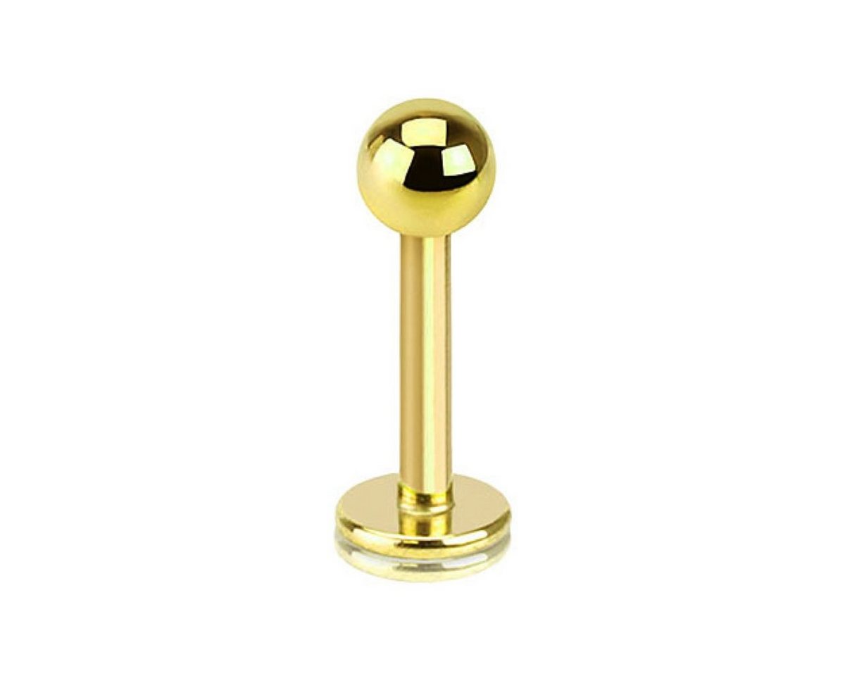 Taffstyle Piercing-Set Piercing Stab für Lippe Labret Ohr Helix Kugel, Stecker Lippenpiercing Monroe Labret Lippen Tragus Stud Innengewinde Taffstyle Piercing-Set Piercing Stab für Lippe Labret Ohr Helix Kugel, Stecker Lippenpiercing Monroe Labret Lippen Tragus Stud Innengewinde von Taffstyle
