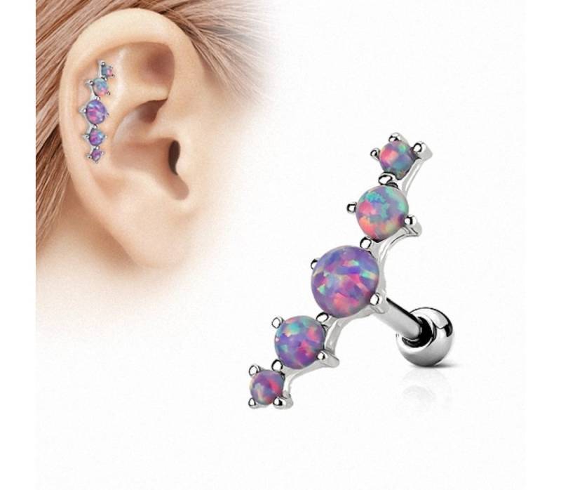 Taffstyle Piercing-Set Tragus Piercing Stecker mit 5 Opal Steinen, Helixpiercing Helix Ohr Cartilage Knorpel Stecker mit 5 Opal Steinen Taffstyle Piercing-Set Tragus Piercing Stecker mit 5 Opal Steinen, Helixpiercing Helix Ohr Cartilage Knorpel Stecker mit 5 Opal Steinen von Taffstyle
