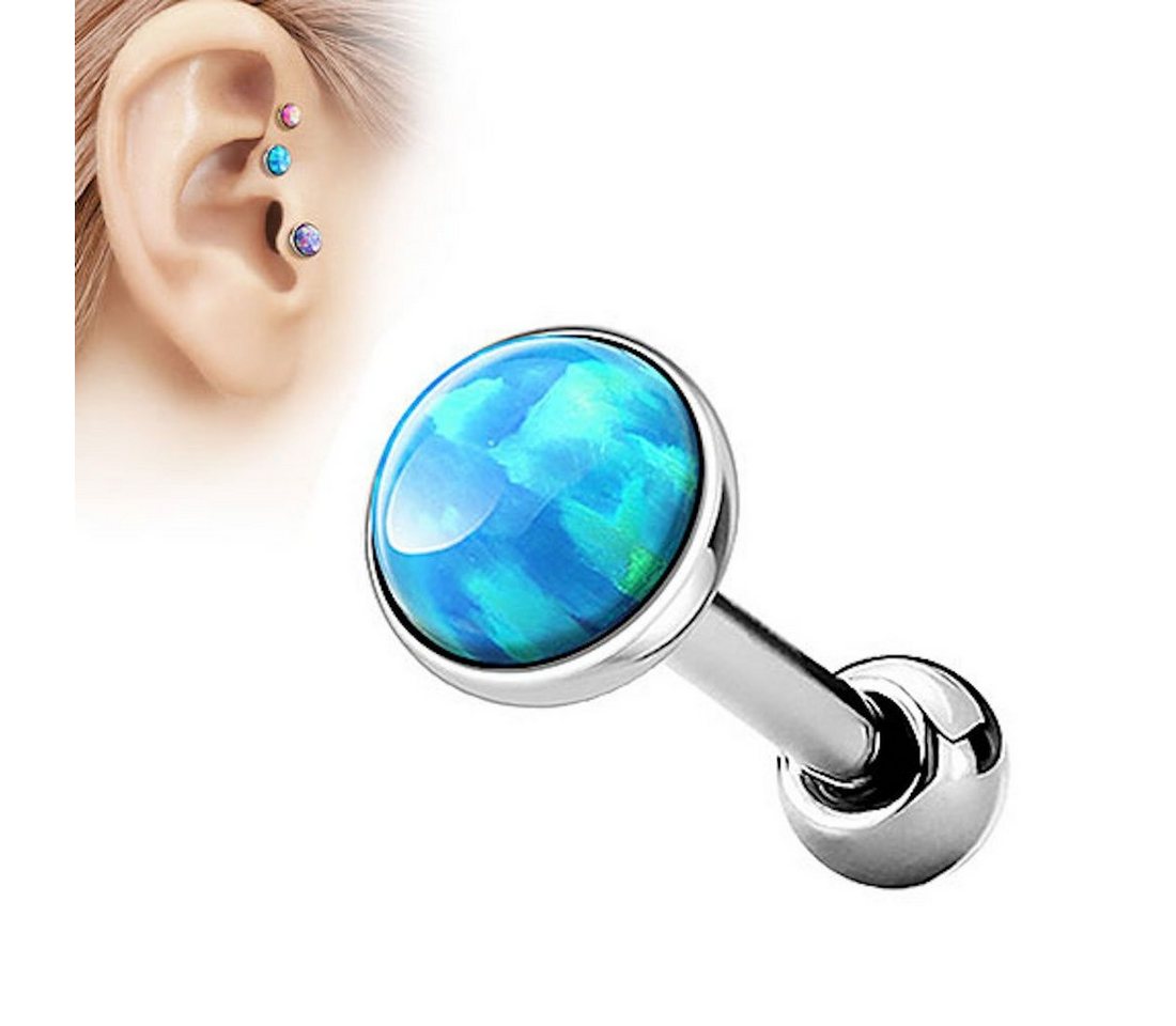 Taffstyle Piercing-Set Tragus Stecker mit flachen Opal Steinen Rund, Tragus Piercing Helixpiercing Helix Ohr Cartilage Knorpel Stecker Taffstyle Piercing-Set Tragus Stecker mit flachen Opal Steinen Rund, Tragus Piercing Helixpiercing Helix Ohr Cartilage Knorpel Stecker von Taffstyle