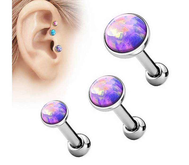 Taffstyle Piercing-Set Tragus Stecker mit flachen Opal Steinen Rund, Tragus Piercing Helixpiercing Helix Ohr Cartilage Knorpel Stecker Taffstyle Piercing-Set Tragus Stecker mit flachen Opal Steinen Rund, Tragus Piercing Helixpiercing Helix Ohr Cartilage Knorpel Stecker von Taffstyle