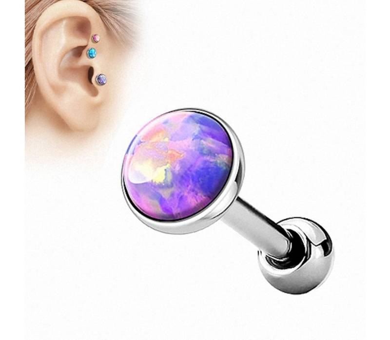 Taffstyle Piercing-Set Tragus Stecker mit flachen Opal Steinen Rund, Tragus Piercing Helixpiercing Helix Ohr Cartilage Knorpel Stecker Taffstyle Piercing-Set Tragus Stecker mit flachen Opal Steinen Rund, Tragus Piercing Helixpiercing Helix Ohr Cartilage Knorpel Stecker von Taffstyle