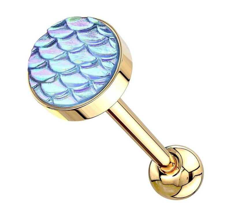 Taffstyle Piercing-Set Zungenpiercing Ohr Kugel mit Rainbow Effekt Kopf, Piercingfaktor Barbell Stab Hantel Stecker Intim Brust Oral Ohr Tragus von Taffstyle