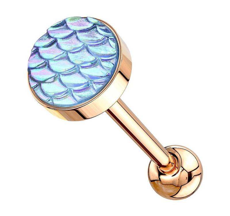 Taffstyle Piercing-Set Zungenpiercing Ohr Kugel mit Rainbow Effekt Kopf, Piercingfaktor Barbell Stab Hantel Stecker Intim Brust Oral Ohr Tragus von Taffstyle