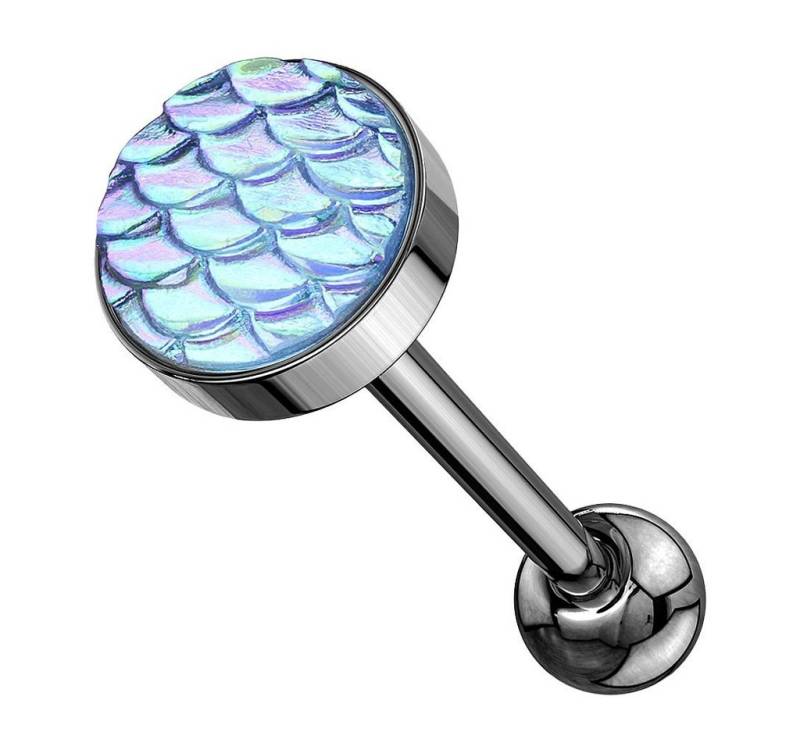 Taffstyle Piercing-Set Zungenpiercing Ohr Kugel mit Rainbow Effekt Kopf, Piercingfaktor Barbell Stab Hantel Stecker Intim Brust Oral Ohr Tragus von Taffstyle