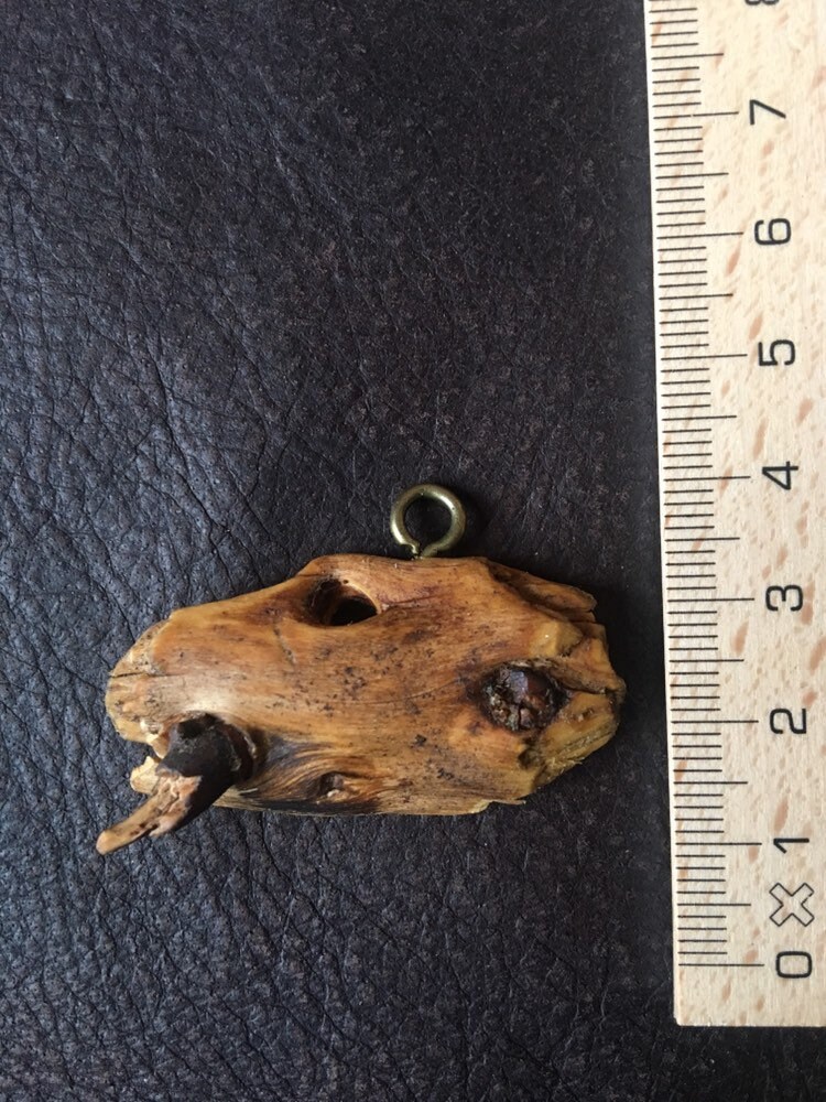 Talisman „Säbelzahntieger" > Kraft, Stärke, Mut, Behutsamkeit Talisman „Säbelzahntieger" > Kraft, Stärke, Mut, Behutsamkeit von TalismaNatur