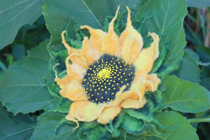 Gefilzte Sonnenblume Brosche Gestickte Blume Aus Merino Wolle von TaniaSh