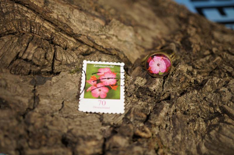 Upcycling - Ring Aus Briefmarke "Kartäusernelke" Upcycling - Ring Aus Briefmarke "Kartäusernelke" von TanzaufRuinen