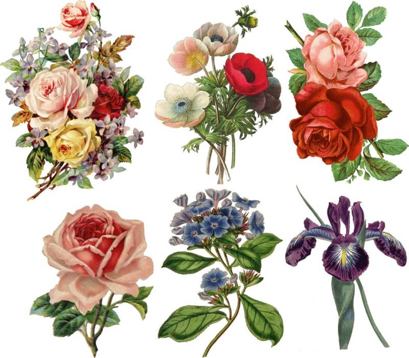 Temporäres Tattoo - 6Er Set Vintage Floral Verschiedene Muster/Flash von TattooNbeyond