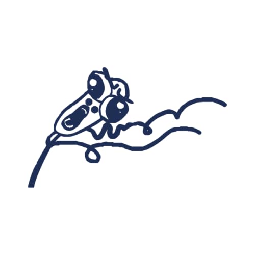 Tattwo.me – Temporäre Tattoos für Erwachsene und Kinder, hält 2 Wochen, wasserfest – berühmtes Mem – Pflanzliche Tinte – EU-Kosmetik-Zertifikat – (P0884) von Tattwo.me