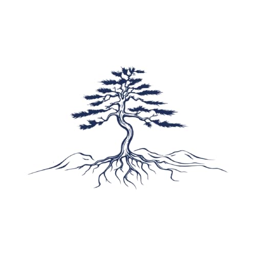 Tattwo.me - Temporäre Tattoos für Erwachsene und Kinder, 2 Wochen, wasserfest - imposanter Baum mit seinen Wurzeln - Pflanzliche Tinte - EU-Kosmetik-Zertifikat - (9X9 - M0126) von Tattwo.me