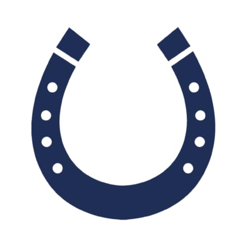 Tattwo.me – Temporäre Tattoos für Erwachsene und Kinder, hält 2 Wochen, wasserfest – Hufeisen – Pflanzliche Tinte – EU-Kosmetik-Zertifikat – (P0177) von Tattwo.me